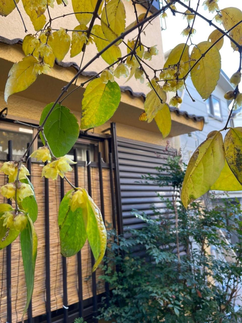 Annam Stay Osaka - Whole Three Story House Rental Экстерьер фото